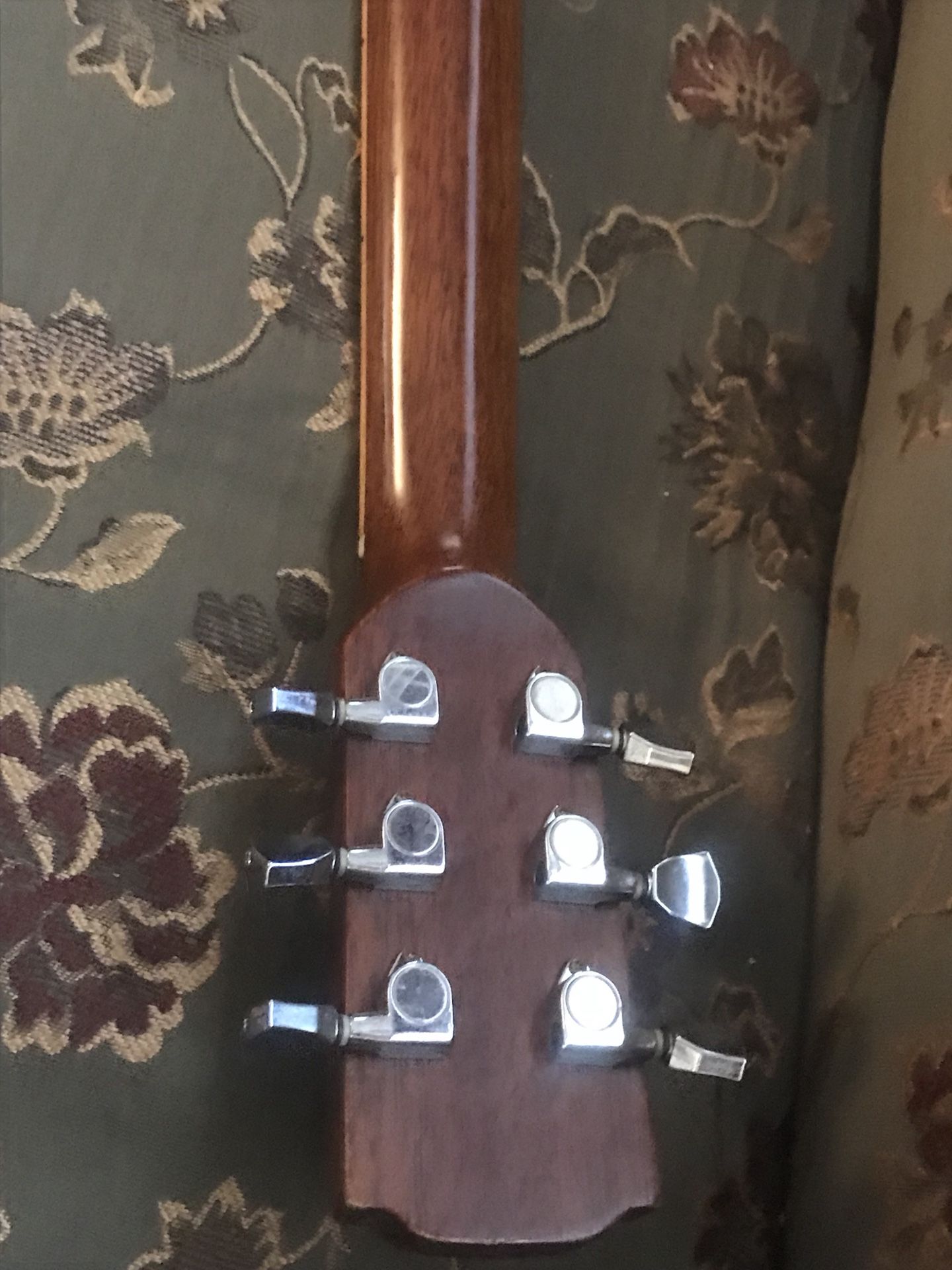 Brownsville acoustic guitar model dg100 (no case, only guitar) for