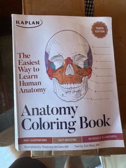 Brand new anatomy coloring book