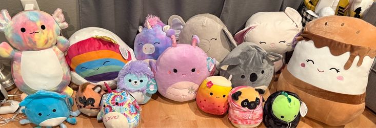 New Lot of Squishmallows all for $30