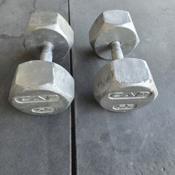 55 lb Dumbbells (set of 2)