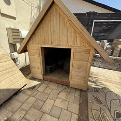Dog House - Tortise House 