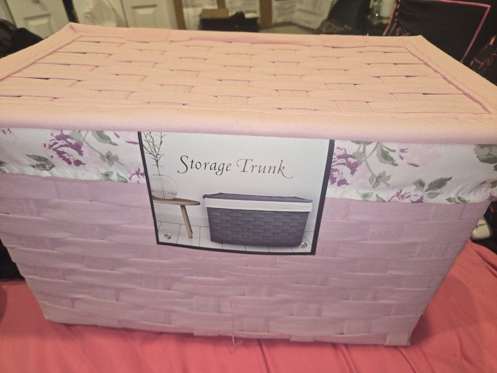 Large Storage Trunk