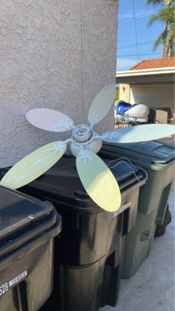 Fan