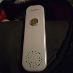 PULAMI voice Translator