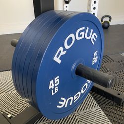 Rogue Fitness Calibrated Plates 440# ▪️ Power Lifting ▪️ Home Gym
