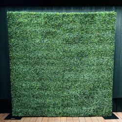 Grass Wall With Stand 