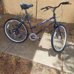 Reduced- 6 Speed Purple AutoBike Classic