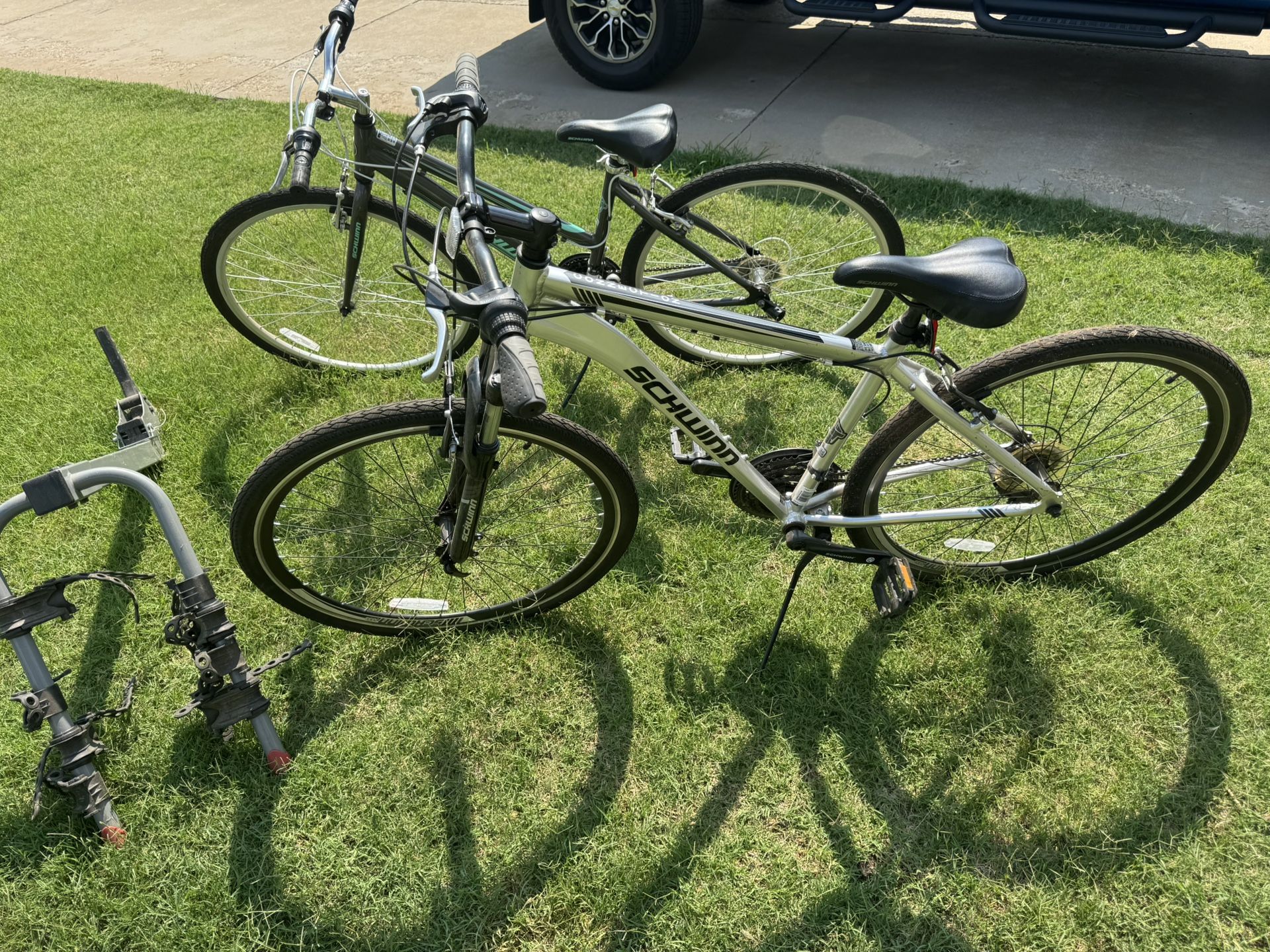 Schwinn Adult Bikes