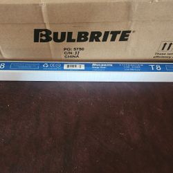 T8 Bulbrite  F17T8/841/EW