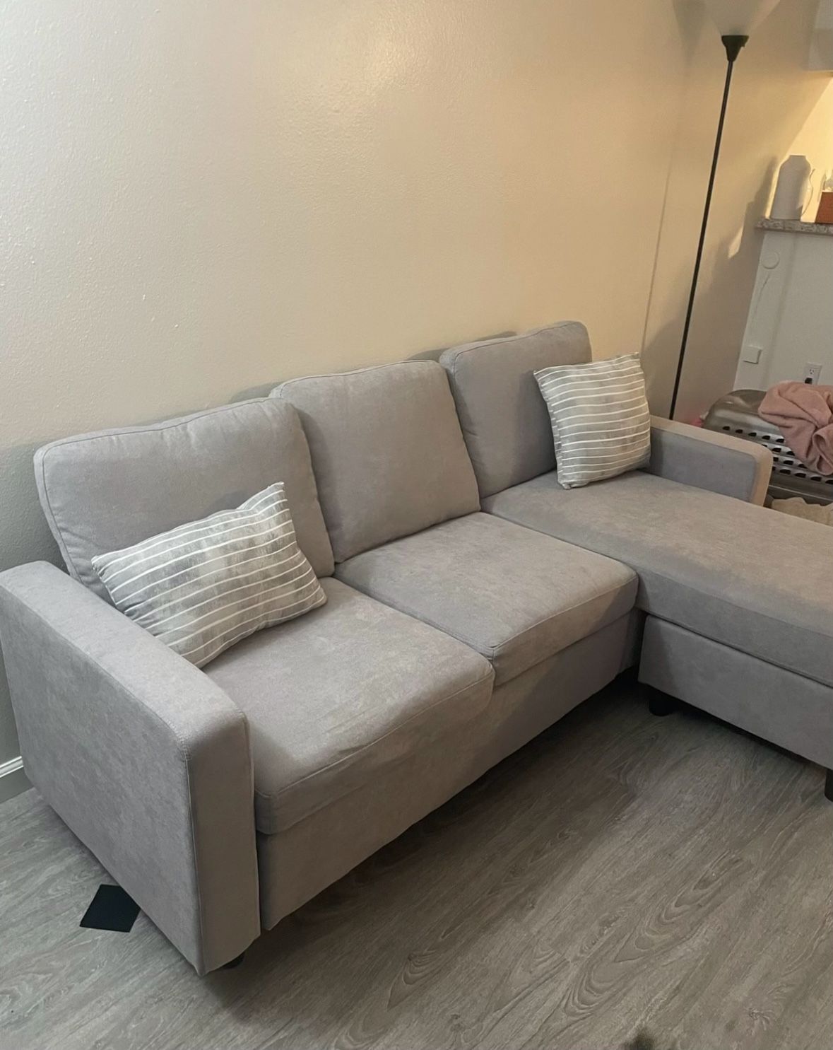 Grey Sectional Couch