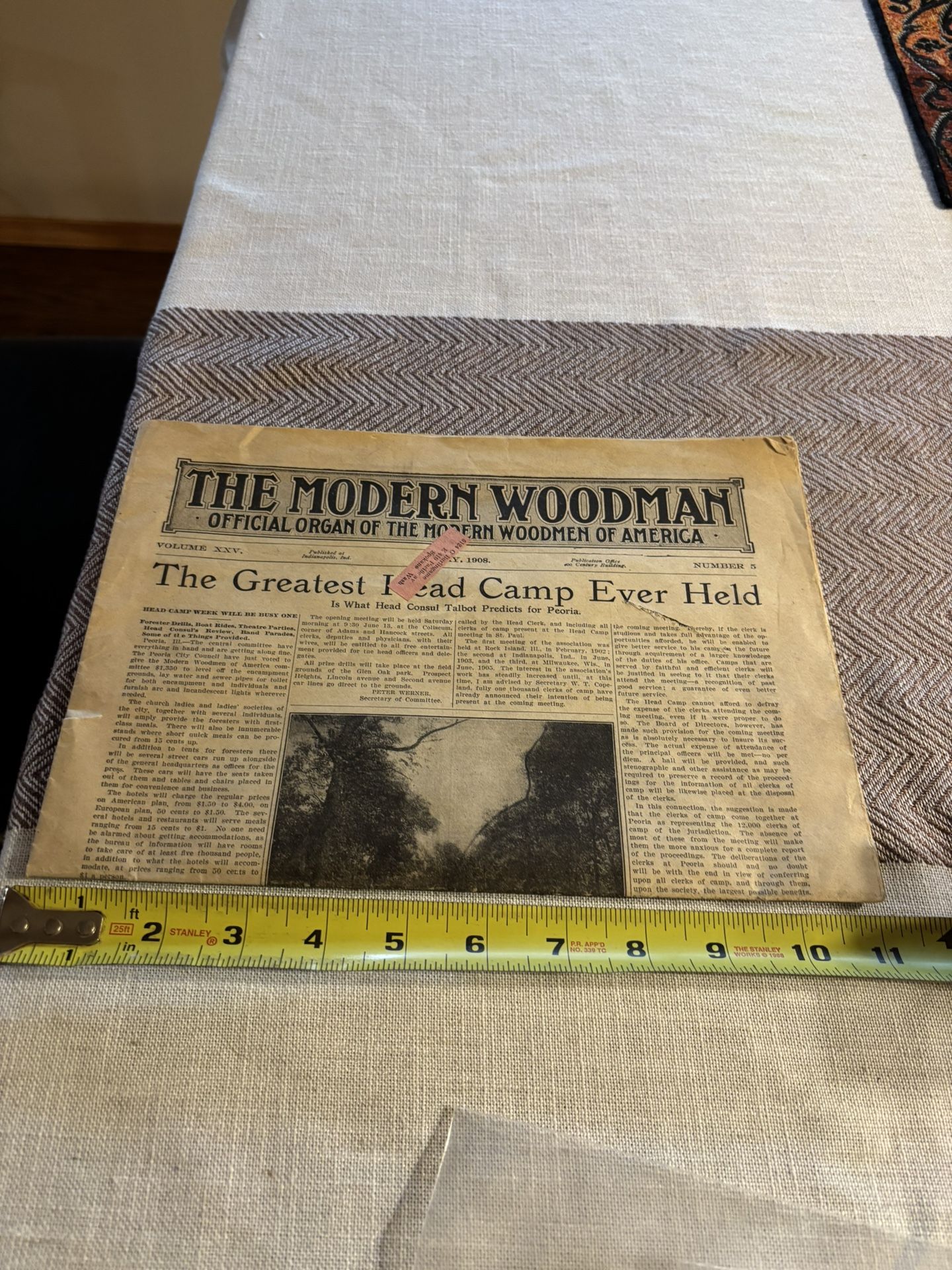 Vintage Modern Woodman Newspaper