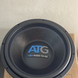 10” Subwoofer 