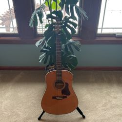 Seagull S6 Coastline momentum Acoustic Electric