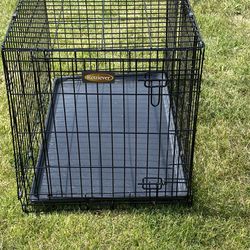 Medium To Small Collapsible Dog Crate