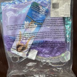 Little Mermaid Costume