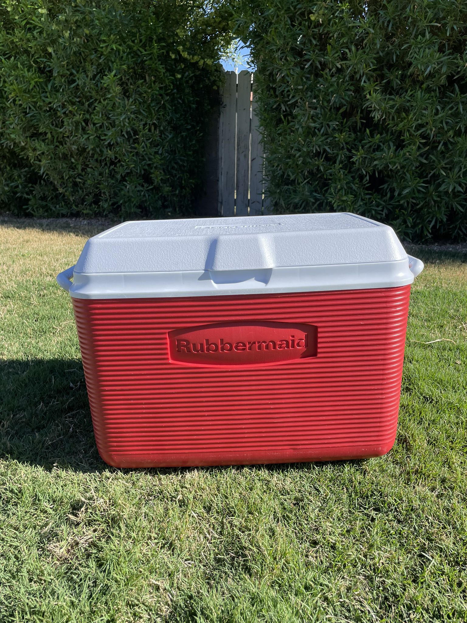 Red Rubbermaid Cooler 