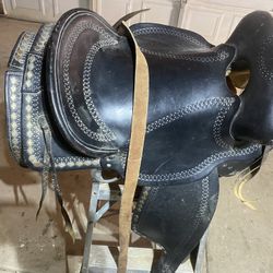 Horse 🐎  Thumbnail