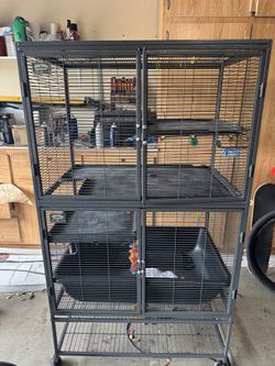 Double Critter Nation