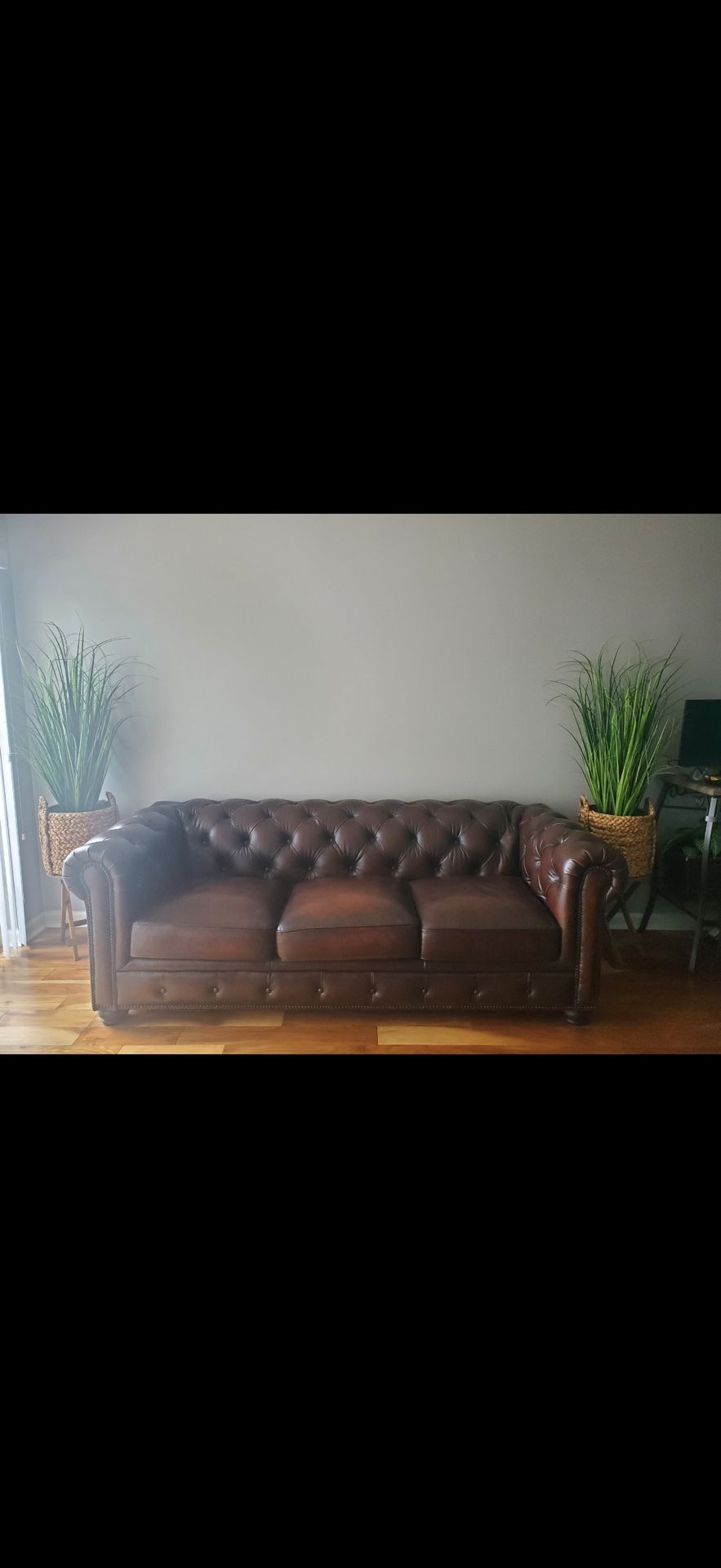 Vintage Leather Sofa & Decorative Plants Set