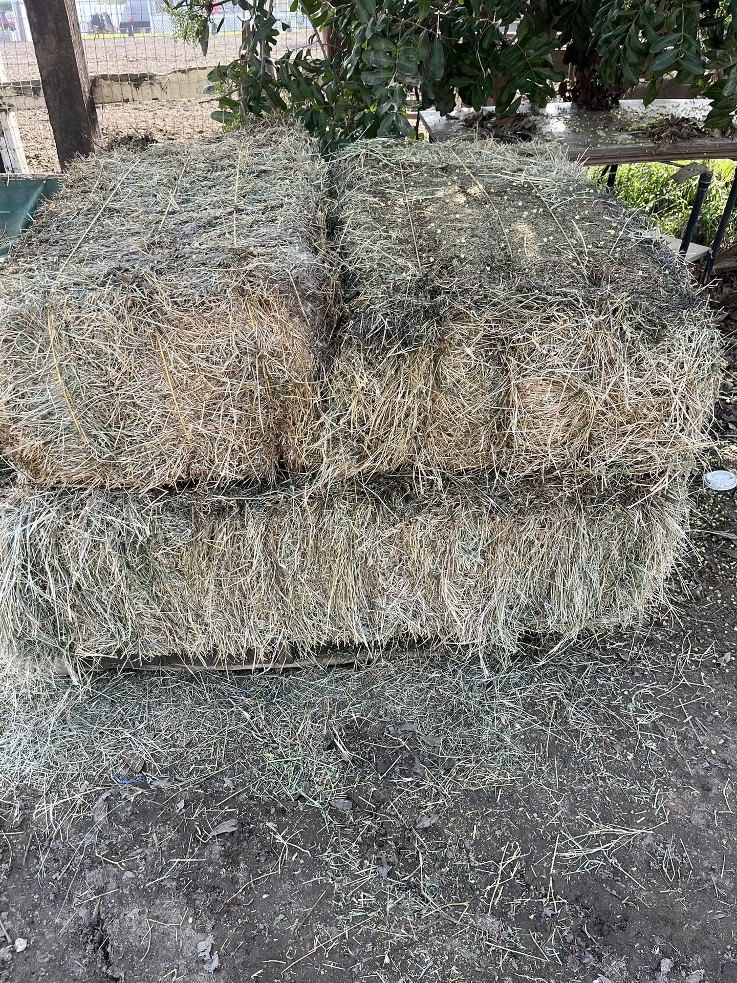 Livestock Hay 10 Dollars