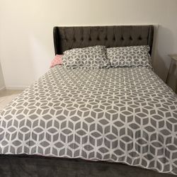 Bed Queen 