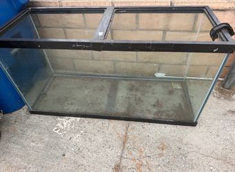 100 gallon tank 60$