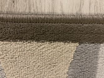 Thick Pile Rug 10 X 6.5’ Modern