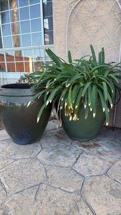 Extra large green ceramic pots