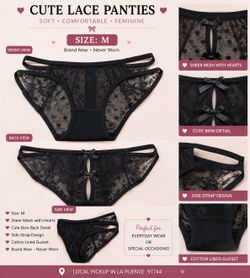 Brand New Black Lace Mesh Panties - Size M