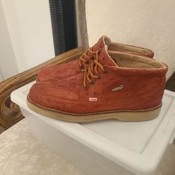 Zapato de cocodrillo y avestrus.