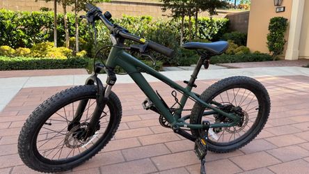 Giant stp 20inch bike DISC