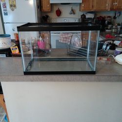 5gal fish tank small