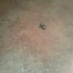 Damiond Stud Earrings 925