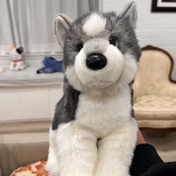 Douglas Dog Husky 