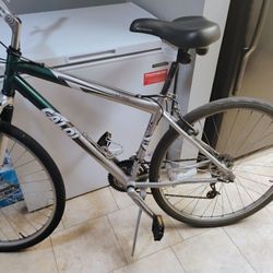 Caloi Mens Bike This Bikes In Mint Condition Also A Brand New Seat 