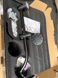 Lord ear shower head system