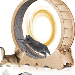 Cat Wheel 