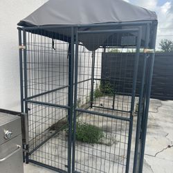 Dog Kennel 5 X 10