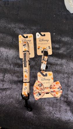 Disney pet leash set