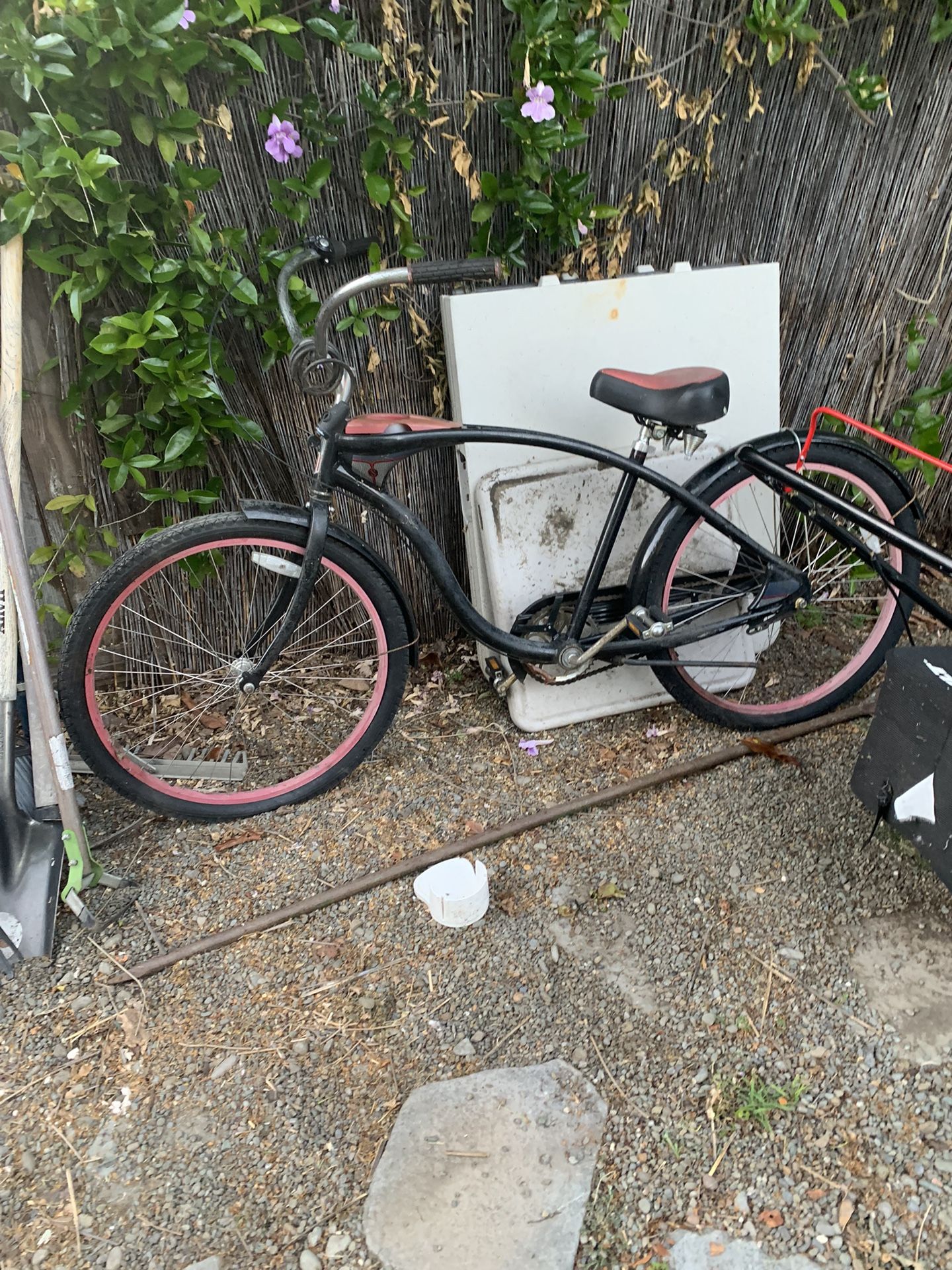 Schwinn Bike