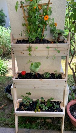 Handmade plants stand serious inquires