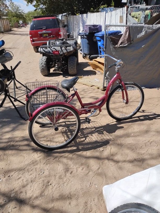 Meridian 3 Wheel Bicycle Made By Schwinn