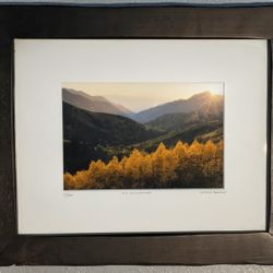 Framed Print "Big Cottonwood"