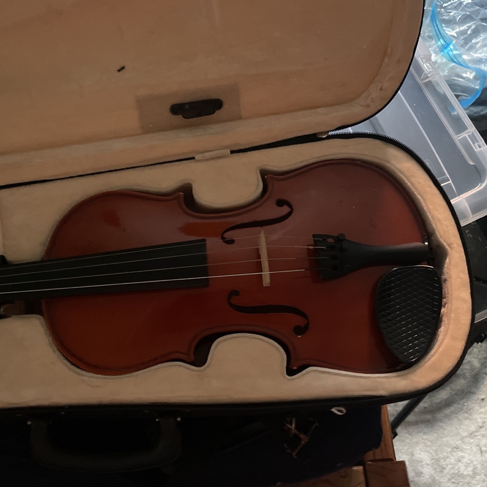 Violin Only