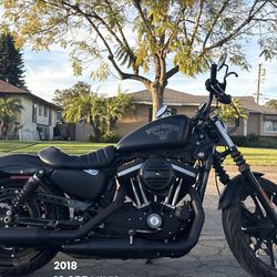 Harley Davidson 883 Iron