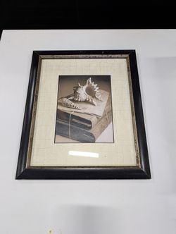 Howard Waisman Seashell Still Life Framed Art Print