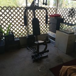 Gym Weight Bench