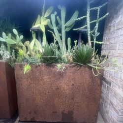 Corton Steel Tall Long Planter Box 3 Feet With Cactus Succulent Aloe Display Fire Glass On Top