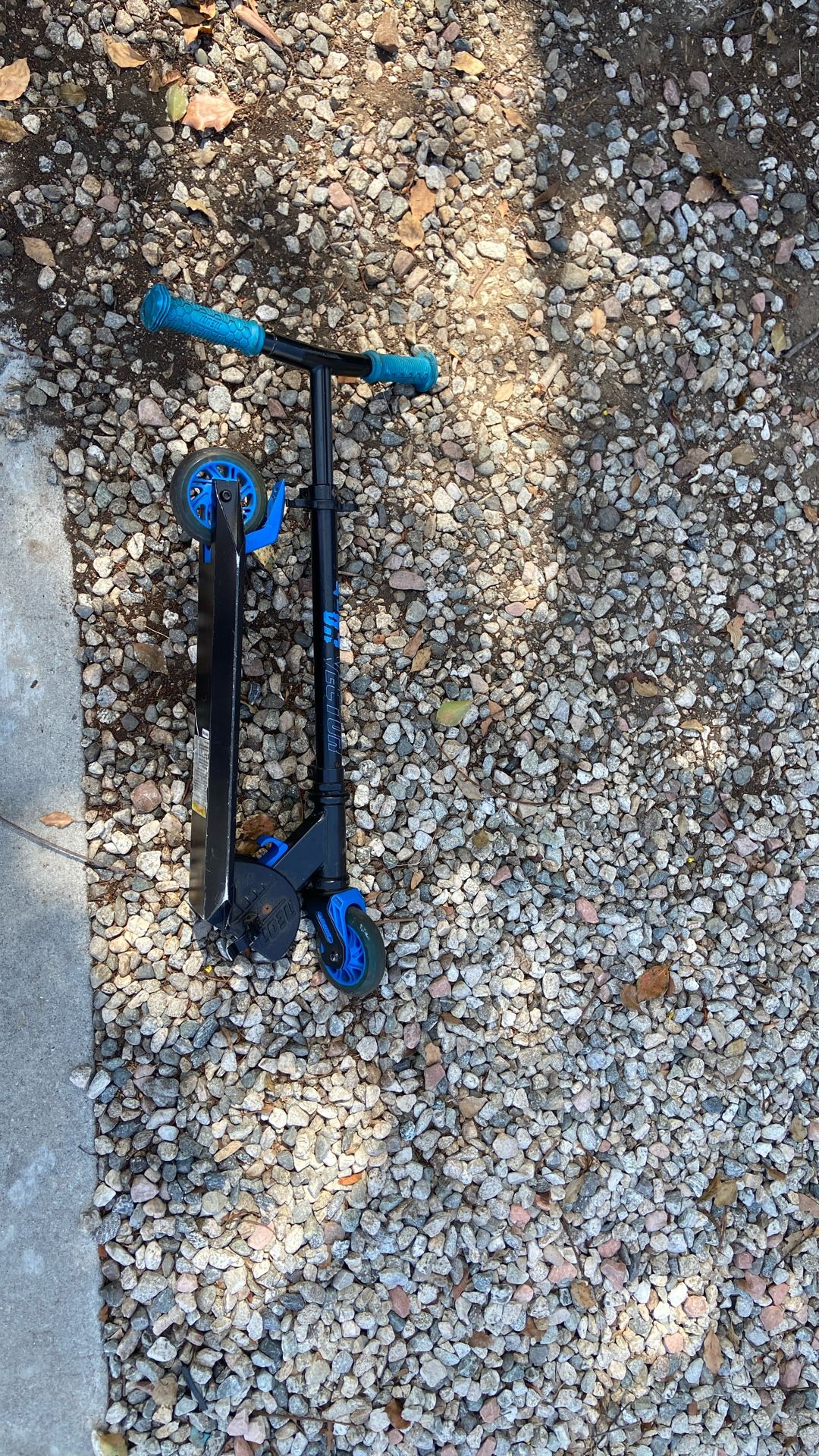 Vector Neon Scooter