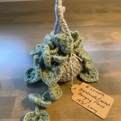 Hanging Crochet Succulent Plant
